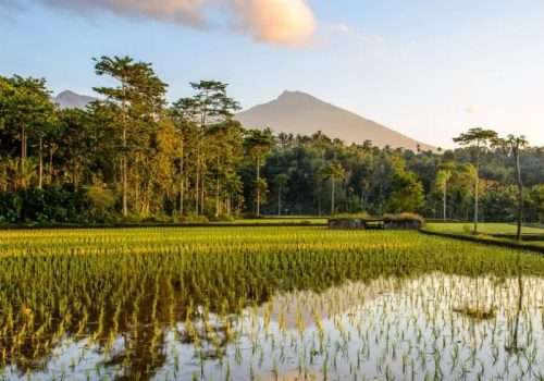 800x600 - Lombokrijstterrassen-tetebatu-lombok-balitravel-1-4