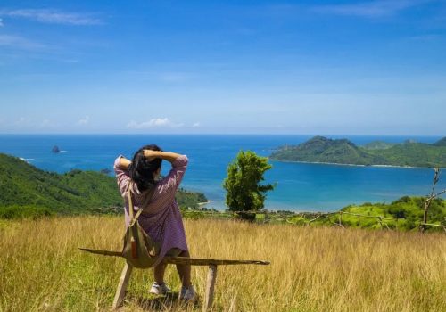 800x600 - Lomboksavanna-6822461_1280