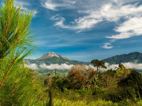 800x600 - Philippinen - Mount-Apo