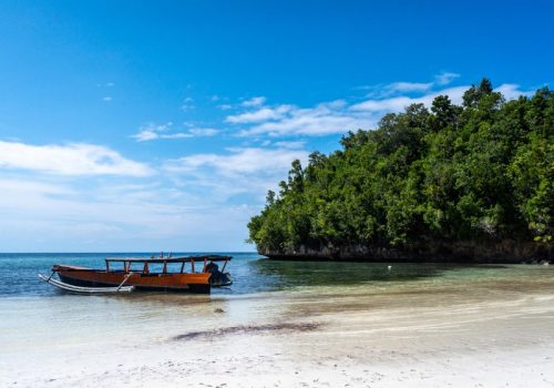800x600 - Sulawesi21771