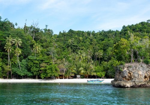 800x600 - Sulawesi21866