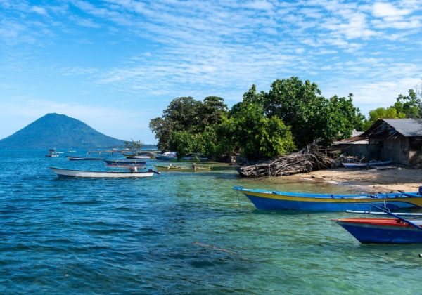 800x600 - Sulawesi21900