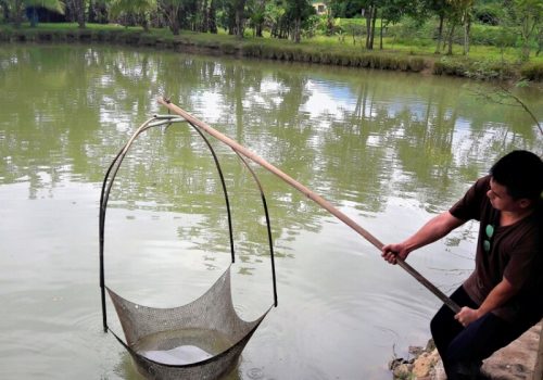 800x600 - Tag 6 Chiang Mai CountrysideEasia_Travel_Chiang_Mai_-_A_day_of_Northern_hospitality_in_the_countryside_87421-1000px