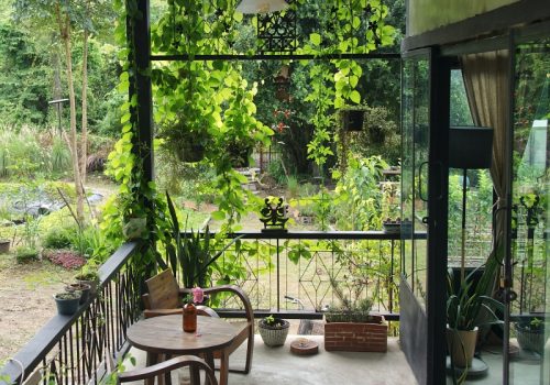 800x600 - Tripseed - Tripseed Copy Right 2025-HD Thai Cooking Master Class with a Local Chef (PVT)5