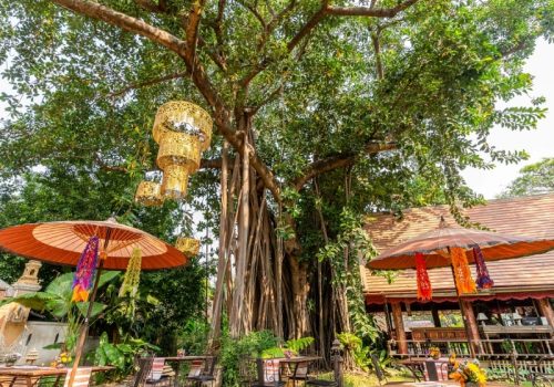 800x600 - Yaang Come Village - batch_Yaang-Come-Tree-1