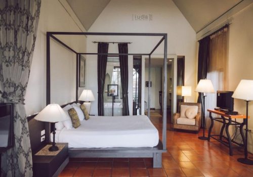 800x600 - iudia782322449